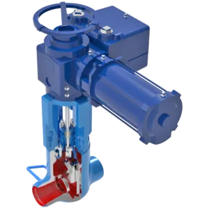 Hopkinsons Valve